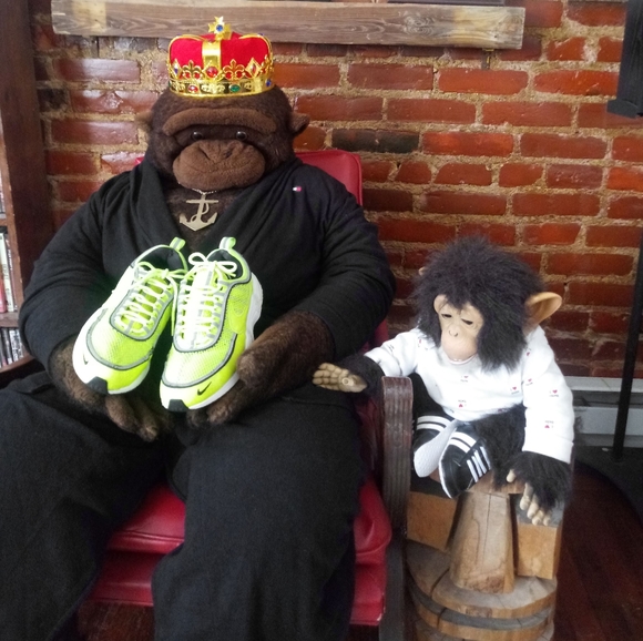 Nike Other - Nike Zoom Spiridon